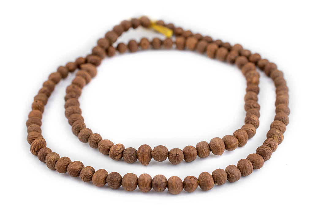 Bodhi Natural Seed Beads (8x9mm) - The Bead Chest