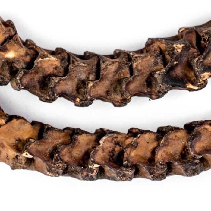 Real Snake Vertebrae Beads from Africa (Extra Large) - The Bead Chest