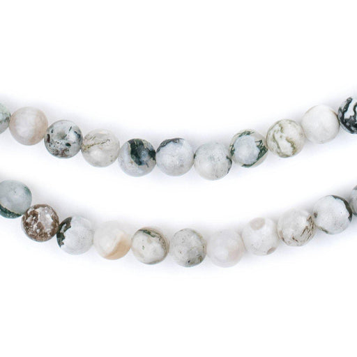 Round Tree Agate Beads (6mm) - The Bead Chest
