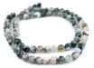 Round Tree Agate Beads (10mm) - The Bead Chest