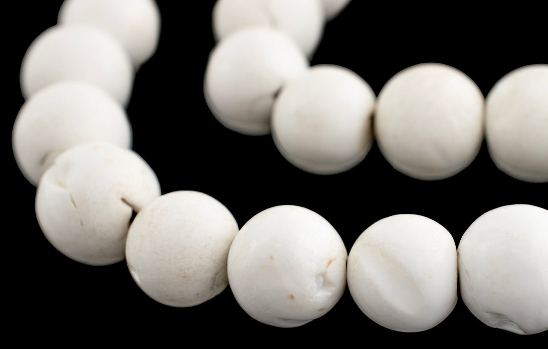 White Naga Conch Shell Beads (14mm) - The Bead Chest