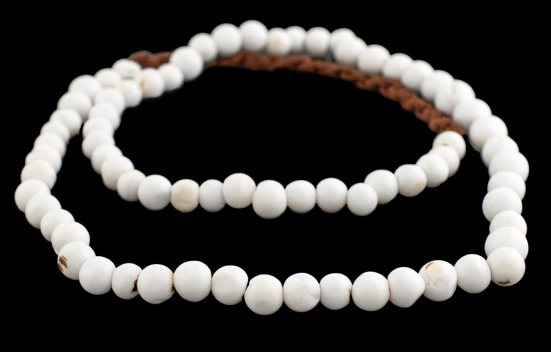 White Naga Conch Shell Beads (8mm) - The Bead Chest
