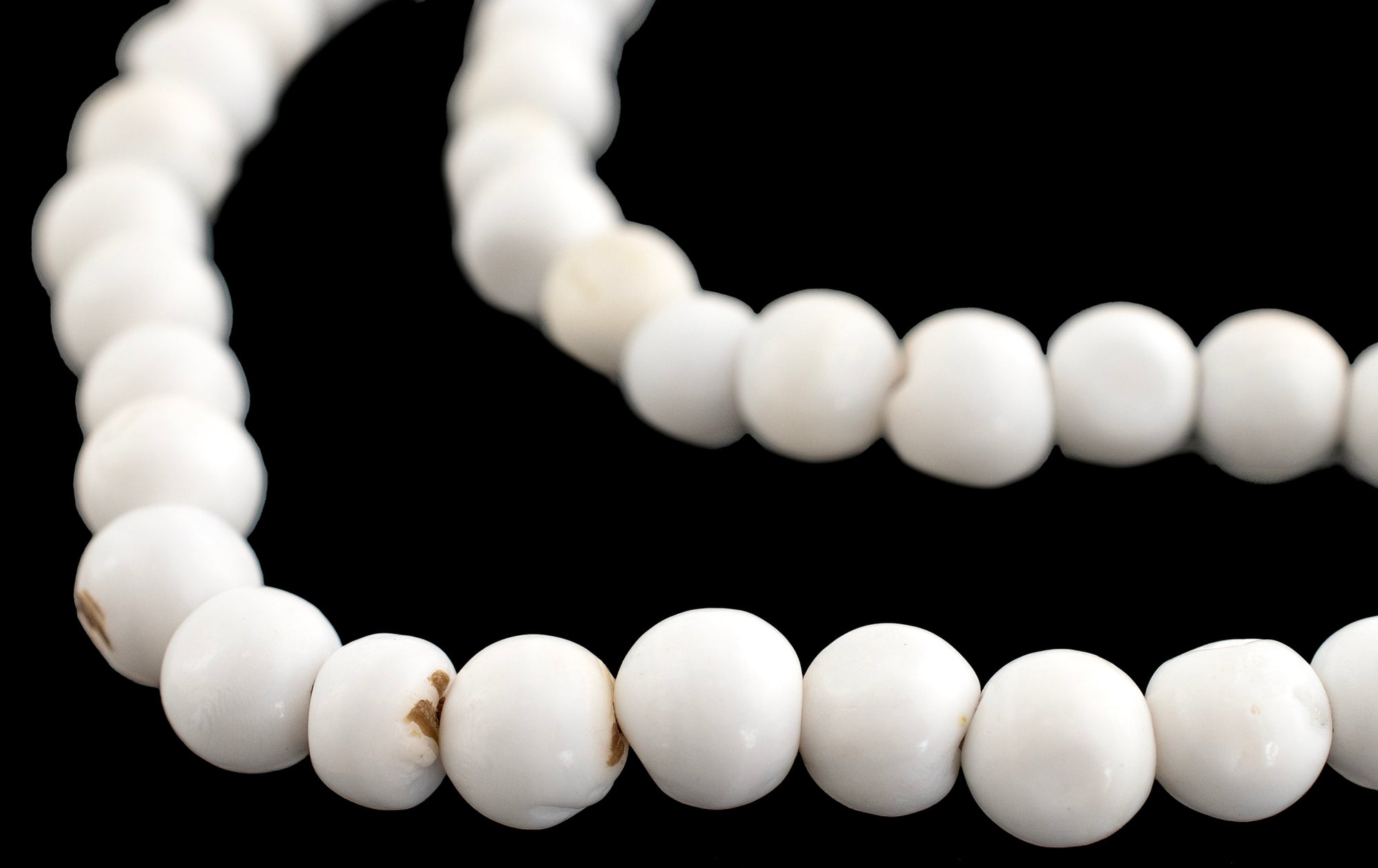 White Naga Conch Shell Beads (8mm) — The Bead Chest