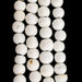 White Naga Conch Shell Beads (8mm) - The Bead Chest