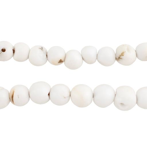 White Naga Conch Shell Beads (8mm)