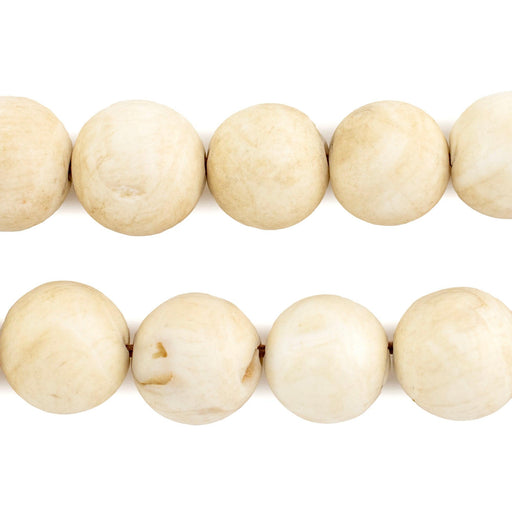 Vintage Style Naga Conch Shell Beads (14mm) - The Bead Chest