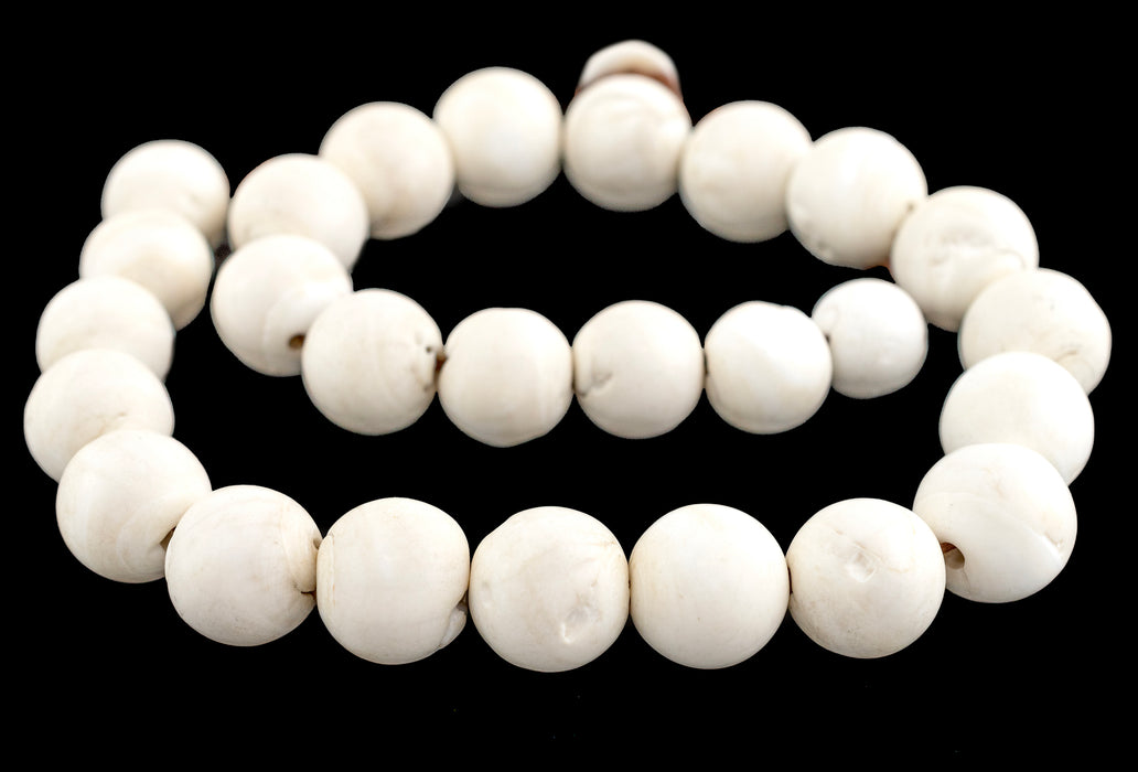 White Naga Conch Shell Beads (18mm) - The Bead Chest