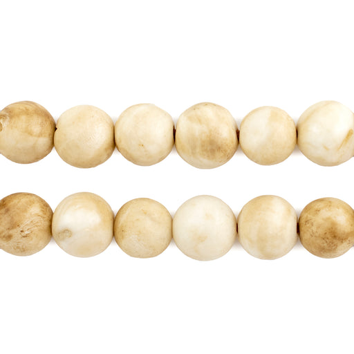 Vintage Style Naga Conch Shell Beads (10mm) — The Bead Chest