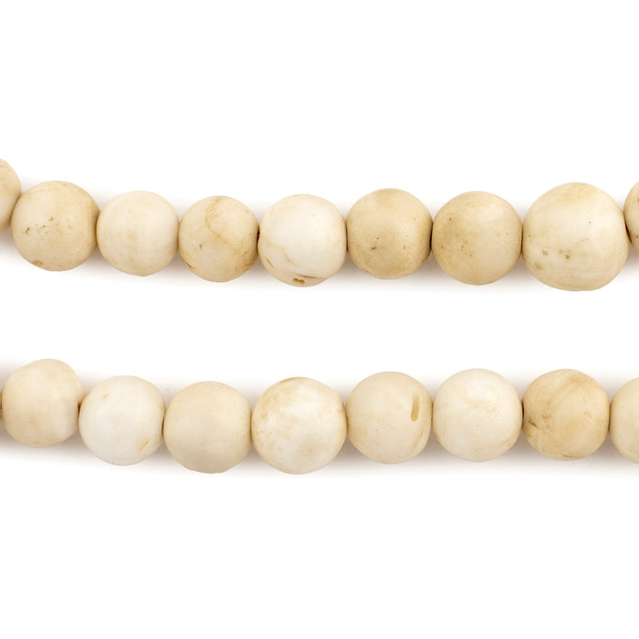 Vintage Style Naga Conch Shell Beads (8mm) — The Bead Chest
