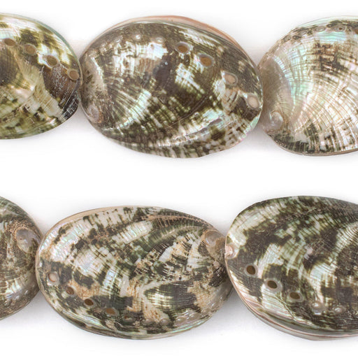 Sea Forest Decorative Shell Beads - The Bead Chest