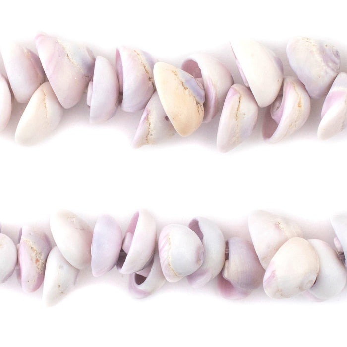 Natural Purple Sea Shell Beads - The Bead Chest