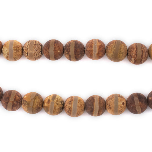 Brown Striped Sphere Tibetan Agate Beads (8mm) - The Bead Chest