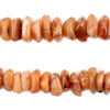 Carnelian Agate Disk Beads (10-20mm)
