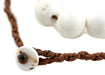 White Naga Conch Shell Beads (18mm) - The Bead Chest