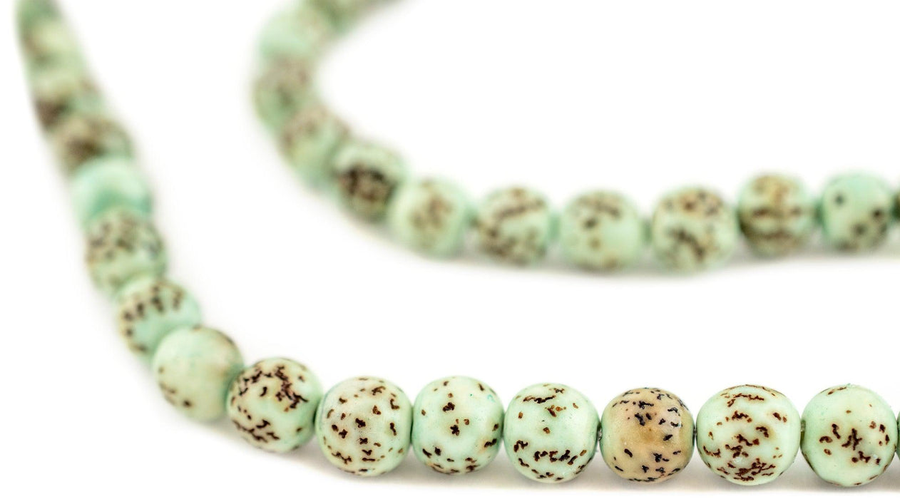 Turquoise Natural Round Seed Beads (8mm) - The Bead Chest