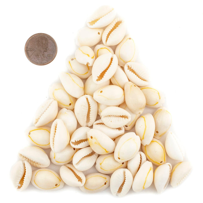 Beige Drilled Cowrie Shells (Large) | The Bead Chest