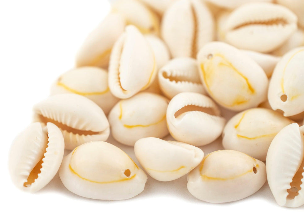 Beige Drilled Cowrie Shells (Large) - The Bead Chest