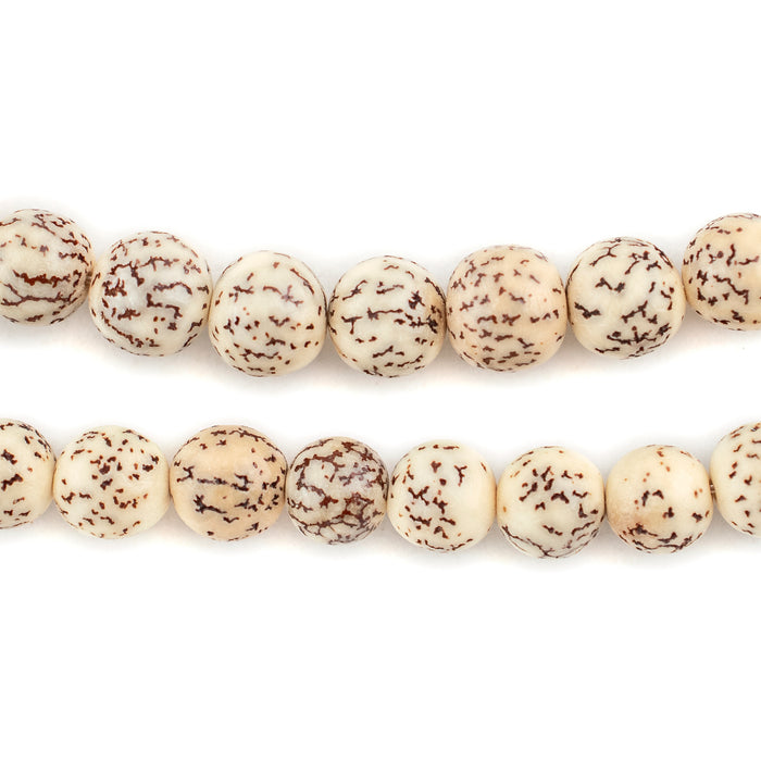 Cream Natural Round Seed Beads (8mm) - The Bead Chest