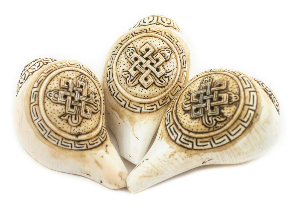 Carved Ashtamangala Conch Shell (Infinite Knot) - The Bead Chest