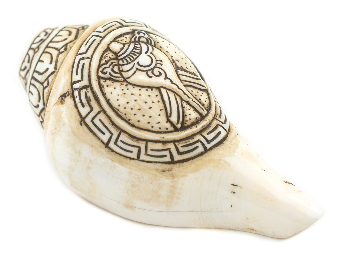 Carved Ashtamangala Conch Shell (Conch Design) — The Bead Chest