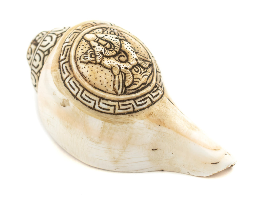 Carved Ashtamangala Conch Shell (Golden Fish) - The Bead Chest