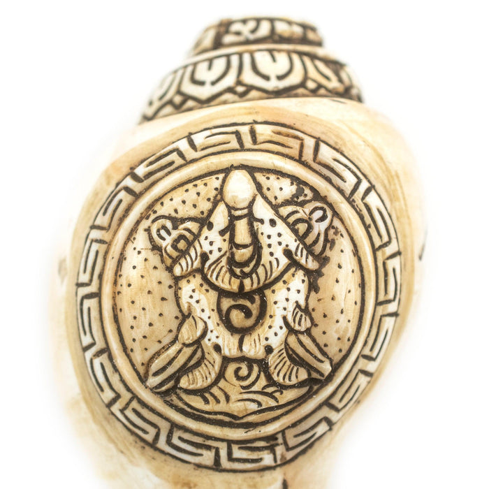Carved Ashtamangala Conch Shell (Golden Fish) - The Bead Chest