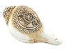 Carved Ashtamangala Conch Shell (Lotus) - The Bead Chest