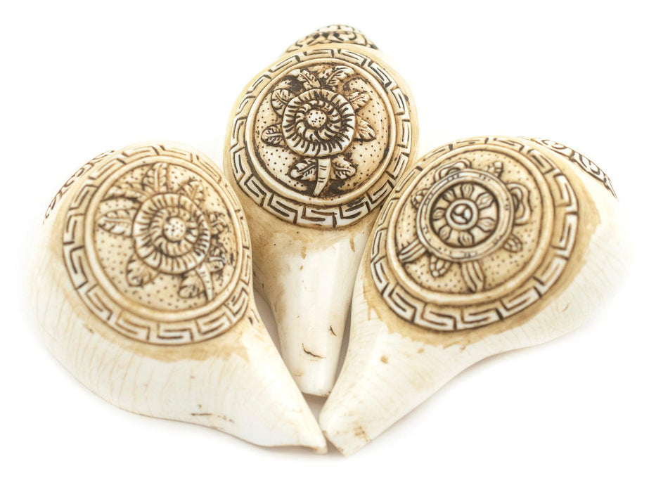 Carved Ashtamangala Conch Shell (Lotus) - The Bead Chest