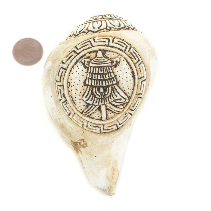 Carved Ashtamangala Conch Shell (Victory Banner) - The Bead Chest