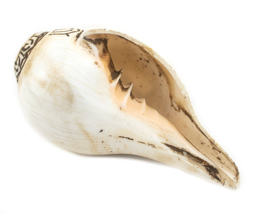 Carved Ashtamangala Conch Shell (Treasure Vase) - The Bead Chest