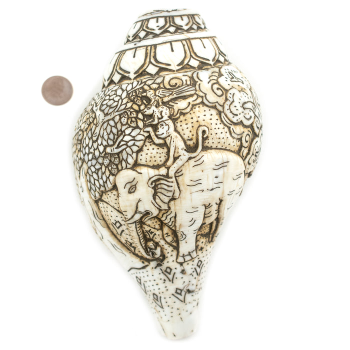 Jumbo Carved Conch Shell (Elephant) - The Bead Chest