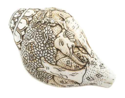 Jumbo Carved Conch Shell (Elephant) - The Bead Chest
