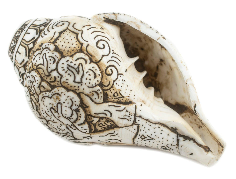 Jumbo Carved Conch Shell (Elephant) - The Bead Chest