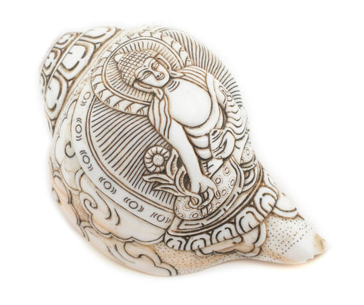 Jumbo Carved Conch Shell (Meditating Buddha) - The Bead Chest