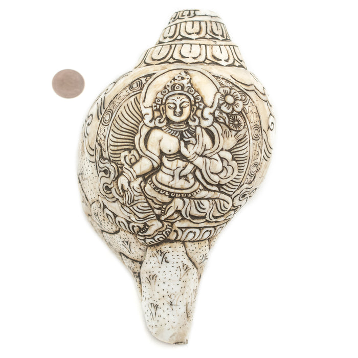 Jumbo Carved Conch Shell (Green Tara) - The Bead Chest