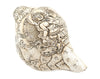 Jumbo Carved Conch Shell (Green Tara)
