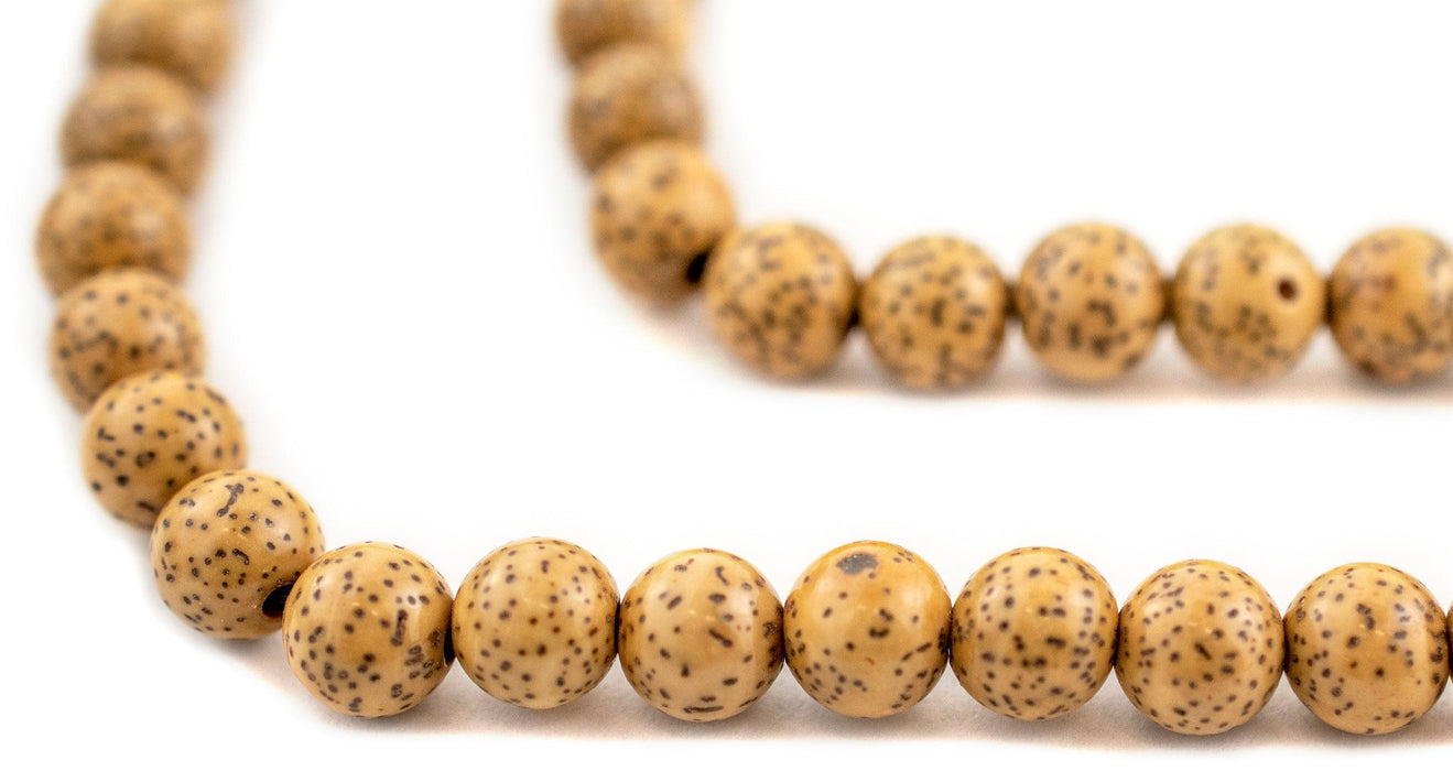 Dark Natural Tibetan Lotus Seed Mala Beads (8mm) - The Bead Chest
