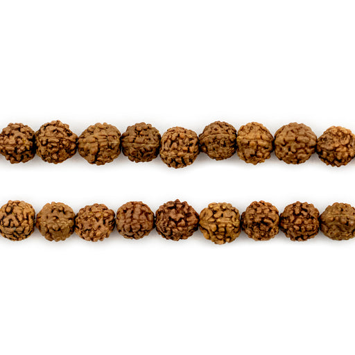 Baby Rudraksha Natural Seed Prayer Beads (6mm) - The Bead Chest