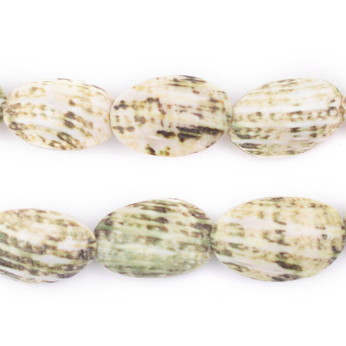 Light Green Picasso Shell Beads (20x10mm) - The Bead Chest