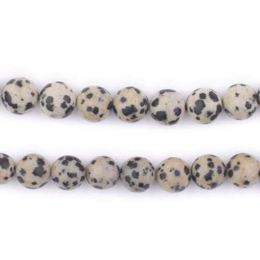 Polished Round Dalmatian Jasper Beads (8mm) - The Bead Chest