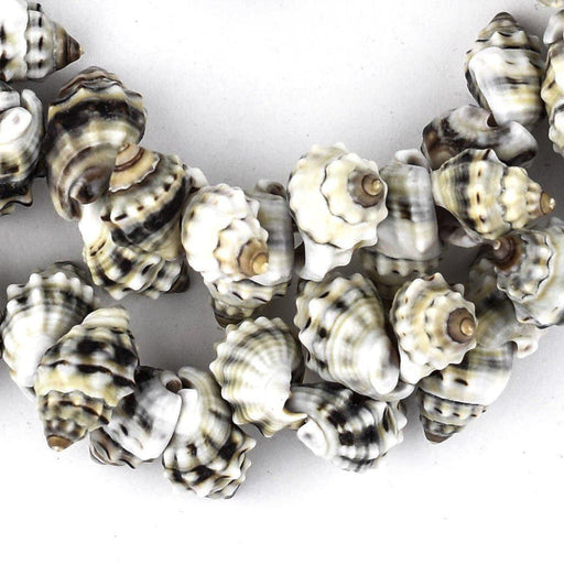 Black Shadow Tiger Shell Beads - The Bead Chest