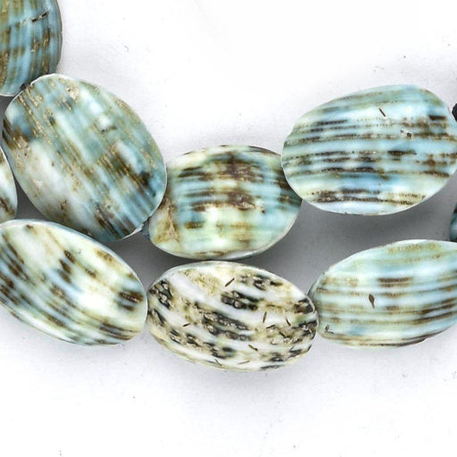 Green Picasso Shell Beads (20x14mm) - The Bead Chest
