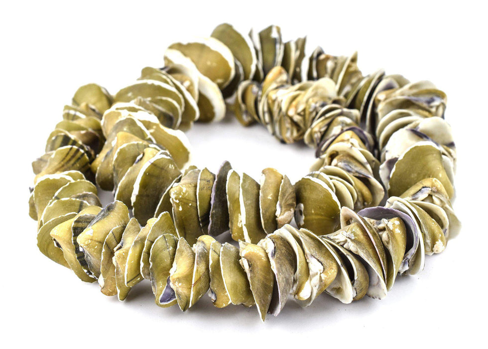 Jumbo Brown Ocean Shell Beads - The Bead Chest