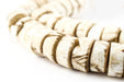 Vintage Naga Conch Shell Disk Beads (14mm) - The Bead Chest