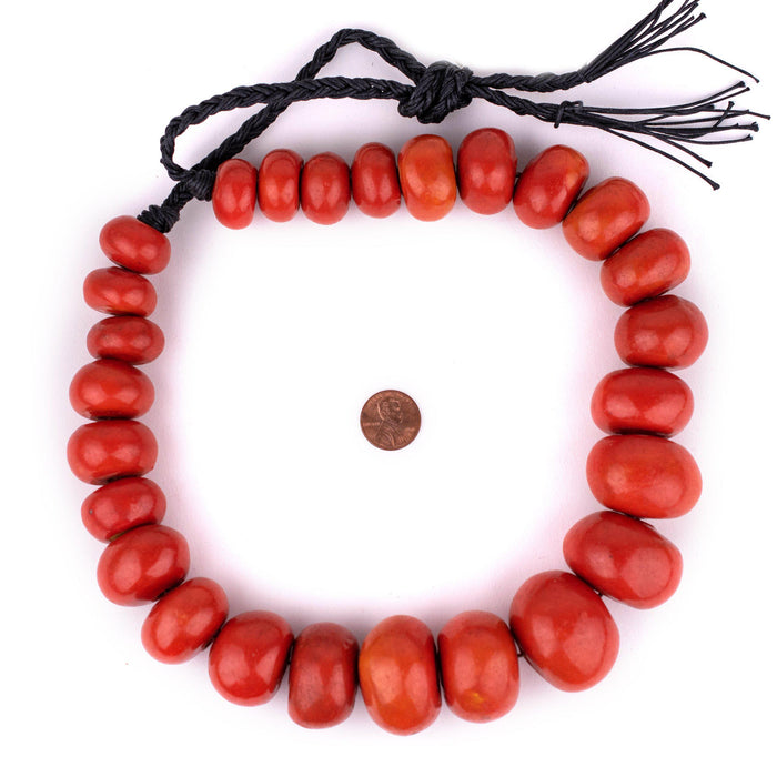 Moroccan Papaya Resin Beads (Graduated) - The Bead Chest