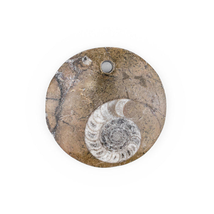 Ammonite Moroccan Fossil Pendant - The Bead Chest