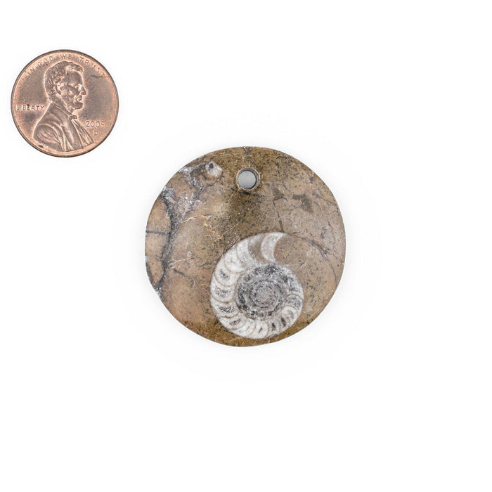 Ammonite Moroccan Fossil Pendant - The Bead Chest