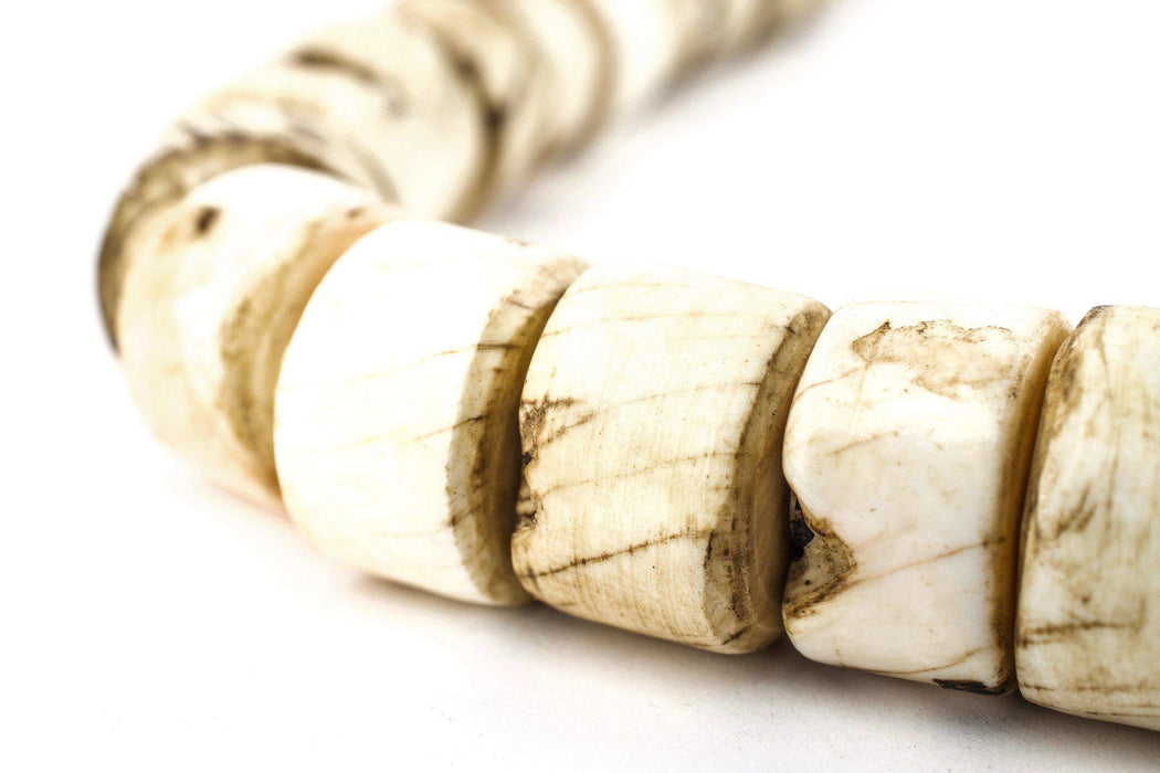 Cylindrical Naga Conch Shell Beads (18mm) - The Bead Chest