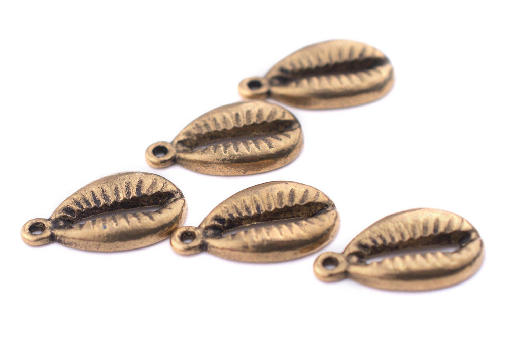 Brass Cowrie Shell Charms (Set of 5) - The Bead Chest
