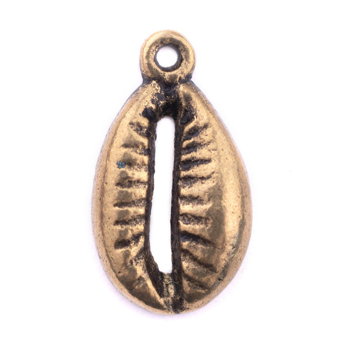 Brass Cowrie Shell Charms (Set of 5) - The Bead Chest
